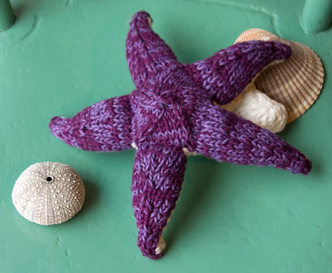 A Change of Pace: Purple Starfish